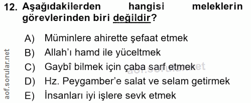 12. soru: Aşağıdakilerden hangisi meleklerin görevlerinden biri değildir? A) Müminlere ahirette şefaat etmek B) Allah'i hamd il…