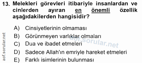 13. soru: Melekleri görevleri itibariyle insanlardan ve cinlerden ayıran en önemli özellik aşağıdakilerden hangisidir? A) Cinsi…