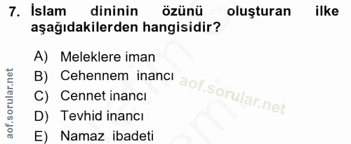 7. soru: İslam dininin özünü oluşturan ilke aşağıdakilerden hangisidir? B) Cehennem inanci A) Meleklere iman C) Cennet inanci…