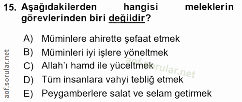 15. soru: Aşağıdakilerden hangisi meleklerin görevlerinden biri değildir? A) Müminlere ahirette şefaat etmek B) Müminleri iyi i…