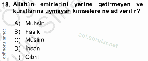 18. soru: Allah'ın emirlerini yerine getirmeyen ve kurallarına uymayan kimselere ne ad verilir? A) Muhsin B) Fasık C) Müslim D)…