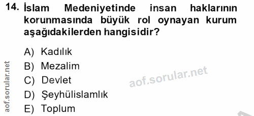 14. soru: Islam Medeniyetinde insan haklarının korunmasında büyük rol oynayan kurum aşağıdakilerden hangisidir? A) Kadılık B) M…