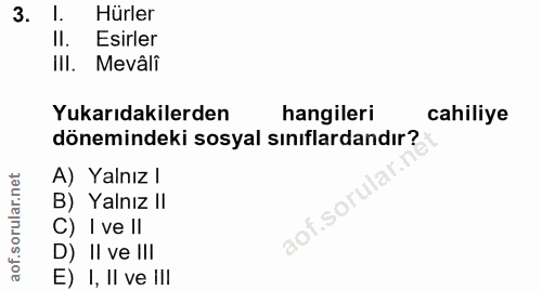 3. soru: 1. Hürler Il. Esirler III. Mevâli Yukarıdakilerden hangileri cahiliye dönemindeki sosyal sınıflardandır? A) Yalnız l…