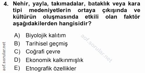 4. soru: Nehir, yayla, takımadalar, bataklık veya kara tipi medeniyetlerin ortaya çıkışında ve kültürün oluşmasında etkili ola…