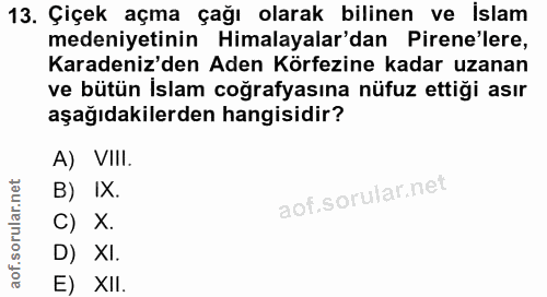 13. soru: Çiçek açma çağı olarak bilinen ve islam medeniyetinin Himalayalar'dan Pirene'lere, Karadeniz'den Aden Körfezine kadar…