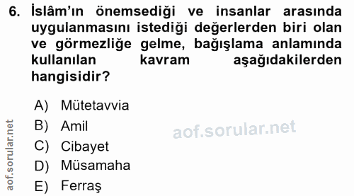 6. soru: İslâm'ın önemsediği ve insanlar arasında uygulanmasını istedigi degerlerden biri olan ve görmezliğe gelme, bağışlama…
