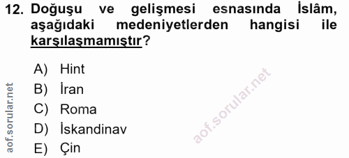 12. soru: Doğuşu ve gelişmesi esnasında islâm, aşağıdaki medeniyetlerden hangisi karşılaşmamıştır? A) Hint B) Iran C) Roma D) İ…