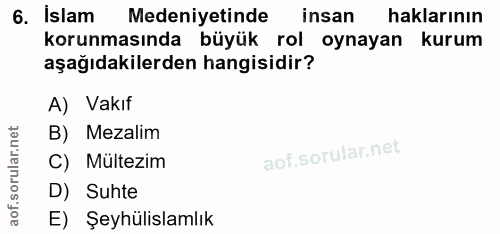 6. soru: Islam Medeniyetinde insan haklarının korunmasında büyük rol oynayan kurum aşağıdakilerden hangisidir? A) Vakıf B) Mez…