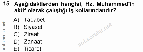 15. soru: Aşağıdakilerden hangisi, Hz. Muhammed'in aktif olarak çalıştığı iş kollarındandır? A) Tababet B) Siyaset C) Ziraat D)…
