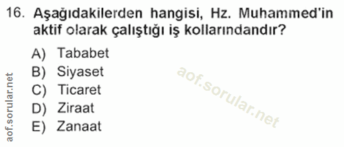 16. soru: Aşağıdakilerden hangisi, Hz. Muhammed'in aktif olarak çalıştığı iş kollarındandır? A) Tababet B) Siyaset C) Ticaret D…