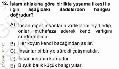 12. soru: İslam ahlakına göre birlikte yaşama ilkesi ile ilgili aşağıdaki ifadelerden hangisi doğrudur? A) İnsan diğer insanlar…