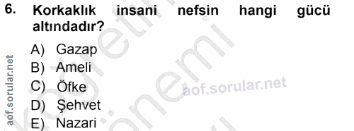 6. soru: Korkaklık insani nefsin hangi gücü altındadır? A) Gazap B) Ameli C) Ofke Şehvet E) Nazari
