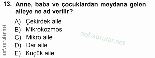 13. soru: Anne, baba ve çocuklardan meydana gelen aileye ne ad verilir? A) Çekirdek aile B) Mikrokozmos C) Mikro aile D) Dar ai…