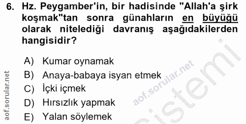 6. soru: Hz. Peygamber'in, bir hadisinde "Allah'a şirk koşmak"tan sonra günahların en büyüğü olarak nitelediği davranış aşağıd…