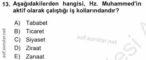 13. soru: Aşağıdakilerden hangisi, Hz. Muhammed'in aktif olarak çalıştığı iş kollarındandır? A) Tababet B) Ticaret C) Siyaset D…