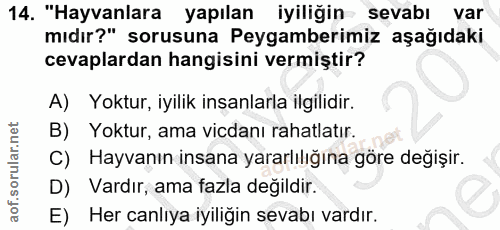 14. soru: "Hayvanlara yapılan iyiliğin sevabı var mıdır?" sorusuna Peygamberimiz aşağıdaki cevaplardan hangisini vermiştir? A)…