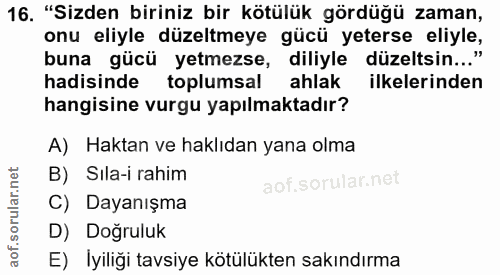 16. soru: "Sizden biriniz bir kötülük gördüğü zaman, onu eliyle düzeltmeye gücü yeterse elıyle, buna gücü yetmezse, diliyle düz…