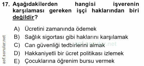 17. soru: Aşağıdakilerden hangisi işverenin karşılaması gereken işçi haklarından biri değildir? A) Ucretini zamanında ödemek B)…