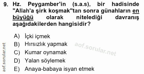 9. soru: Hz. Peygamber'in (s.a.s), bir hadisinde "Allah'a şirk koşmak"tan sonra günahların en büyüğü olarak nitelediği davranı…