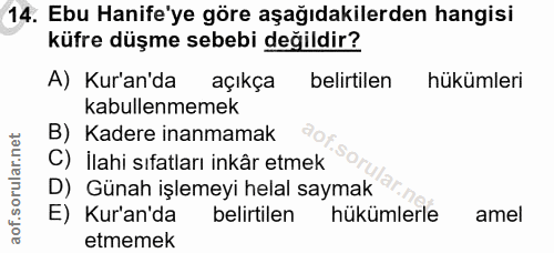14. soru: Ebu Hanife'ye göre aşağıdakilerden hangisi küfre düşme sebebi değildir? A) Kur'an'da açıkça belirtilen hükümleri kabu…