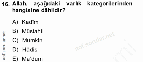 16. soru: Allah, aşağıdaki varlık kategorilerinden hangisine dâhildir? A) Kadîm B) Müstahil C) Mümkin D) Hâdis E) Ma'dum