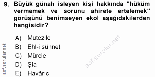 9. soru: Büyük günah işleyen kişi hakkında "hüküm vermemek ve sorunu ahirete ertelemek" görüşünü benimseyen ekol aşağıdakilerd…