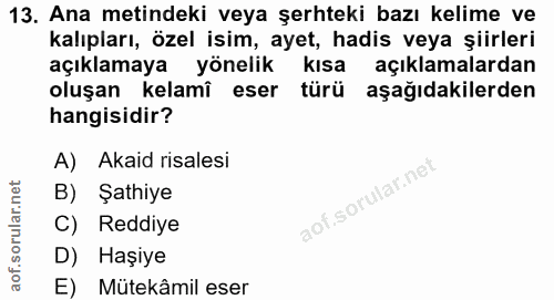 13. soru: Ana metindeki veya şerhteki bazı kelime ve kalıpları, özel isim, ayet, hadis veya şiirleri açıklamaya yönelik kısa aç…