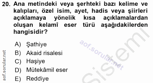 20. soru: Ana metindeki veya şerhteki bazı kelime ve kalıpları, özel isim, ayet, hadis veya şiirleri açıklamaya yönelik kısa aç…