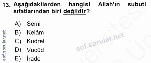 13. soru: Aşağıdakilerden hangisi Allah'ın subuti sıfatlarından biri değildir? Semi B) Kelâm C) Kudret D) Vücûd E) Irade