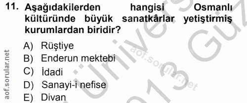 11. soru: Aşağıdakilerden hangisi Osmanlı kültüründe büyük sanatkârlar yetiştirmiş kurumlardan biridir? A) Rüştiye B) Enderun m…