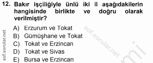 12. soru: Bakır işçiliğiyle ünlü iki il aşağıdakilerin hangisinde birlikte ve doğru olarak verilmiştir? A) Erzurum ve Tokat B)…