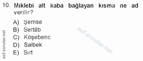 10. soru: Mıklebi alt kaba bağlayan kısma ne ad verilir? A) Şemse B) Sertâb rular.net C) Köşebenc D) Salbek aof.s E) Sırt