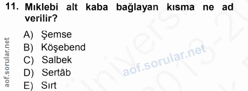 11. soru: Mıklebi alt kaba bağlayan kısma ne ad verilir? A) Şemse B) Köşebend C) Salbek D) Sertâb E) Sırt