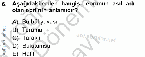 6. soru: Aşağıdakilerden hangisi ebrunun asıl adı olan ebrinin anlamıdır? A) Bülbül yuvası B) Tarama C) Taraklı aof.s@kular.ne…