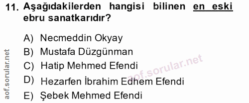 11. soru: Aşağıdakilerden hangisi bilinen en eski ebru sanatkarıdır? A) Necmeddin Okyay B) Mustafa Düzgünman rular.net C) Hatip…