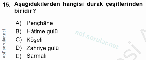 15. soru: Aşağıdakilerden hangisi durak çeşitlerinden biridir? A) Pençhâne B) Hâtime gülü C) Köşeli D) Zahriye gülü E) Sarmalı