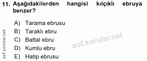 11. soru: Aşağıdakilerden hangisi kılçıklı ebruya benzer? A) Tarama ebrusu B) Taraklı ebru C) Battal ebru D) Kumlu ebru E) Hati…