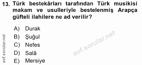 13. soru: Türk bestekârları tarafından Türk musikisi makam ve usulleriyle bestelenmiş Arapça güfteli ilahilere ne ad verilir? A…