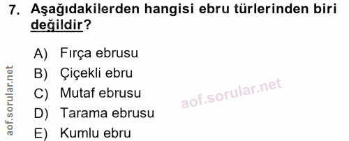 7. soru: Aşağıdakilerden hangisi ebru türlerinden biri değildir? A) Firça ebrusu B) Çıçekli ebru C) Mutaf ebrusu D) Tarama ebr…