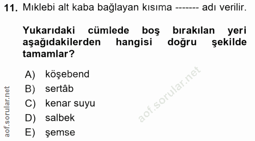 11. soru: Mıklebi alt kaba bağlayan kısıma --- adı verilir. Yukarıdaki cümlede boş bırakılan yeri aşağıdakilerden hangisi doğru…