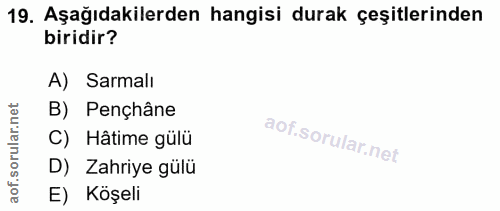 19. soru: Aşağıdakilerden hangisi durak çeşitlerinden biridir? A) Sarmalı rular.net B) Pençhâne C) Hâtime gülü aof.s D) Zahriye…