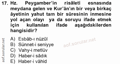 17. soru: Hz. Peygamber'in risaleti esnasında meydana gelen ve Kur'ân'ın bir veya birkaç âyetinin yahut tam bir sûresinin inmes…