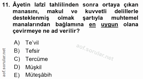 11. soru: Âyetin lafzî tahlilinden sonra ortaya çıkan manasını, makul ve kuvvetli delillerle desteklenmiş olmak şartıyla muhtem…