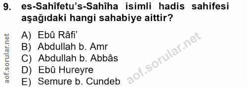9. soru: es-Sahifetu's-Sahiha isimli hadis sahifesi aşağıdaki hangi sahabiye aittir? A) Ebû Râfi' B) Abdullah b. Amr C) Abdull…