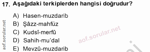 17. soru: Aşağıdaki terkiplerden hangisi doğrudur? A) Hasen-muzdarib B) Şâzz-mahfüz C) Kudsî-merfû D) Sahih-mu'dal E) Mevzû-muz…