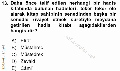13. soru: Daha önce telif edilen herhangi bir hadis kitabında bulunan hadisleri, teker teker ele alarak kitap sahibinin senedin…