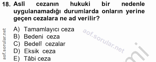 18. soru: Asli cezanın hukuki bir nedenle uygulanamadığı durumlarda onların yerine geçen cezalara ne ad verilir? A) Tamamlayıcı…