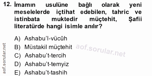 12. soru: Imamın usulüne bağlı olarak yeni meselelerde içtihat edebilen, tahric ve istinbata muktedir müçtehit, Şafii literatür…