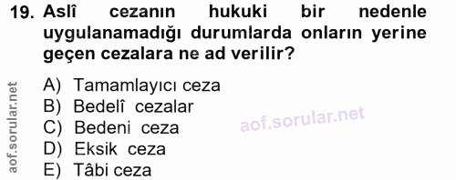 19. soru: Asli cezanın hukuki bir nedenle uygulanamadığı durumlarda onların yerine geçen cezalara ne ad verilir? A) Tamamlayıcı…