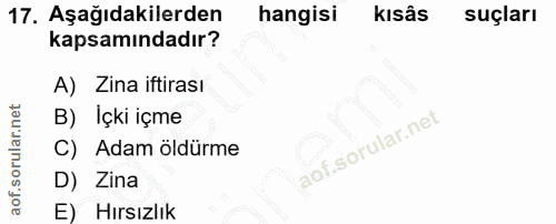 17. soru: Aşağıdakilerden hangisi kısâs suçları kapsamındadır? A) Zina iftirası B) Içki içme C) Adam öldürme D) Zina E) Hırsızlık